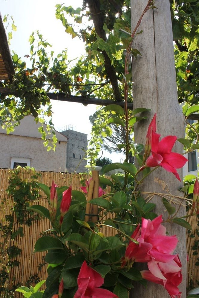 Gelsomino Rooms Ravello Exterior foto